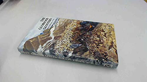 The Glorious Glosters; A Short History of the Gloucestershire Regiment 1945-1970