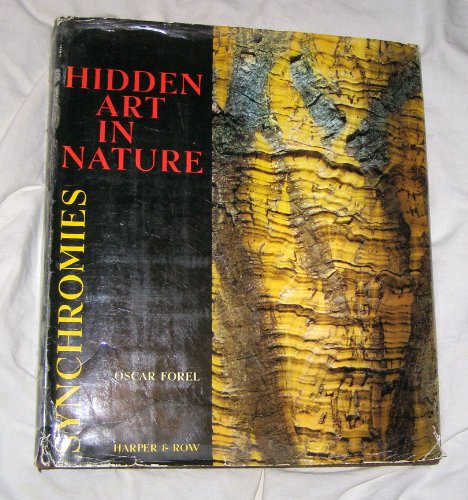 9780850591194: Hidden Art in Nature: Synchromies