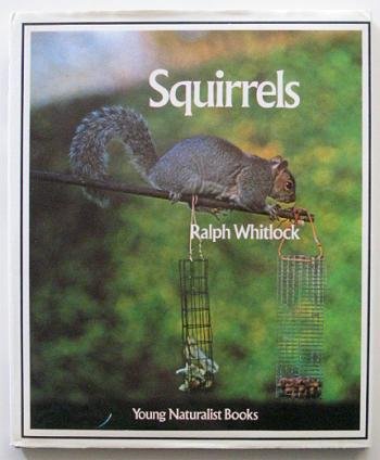 Imagen de archivo de Squirrels (Young naturalist books) a la venta por Drew
