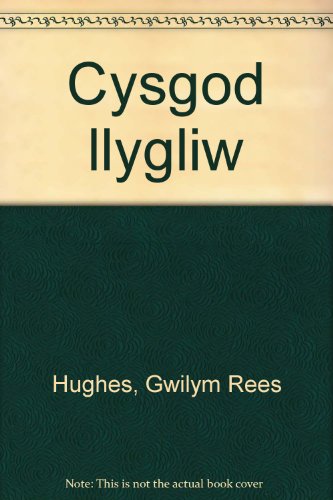 Beispielbild fr Cysgod llygliw zum Verkauf von Goldstone Books
