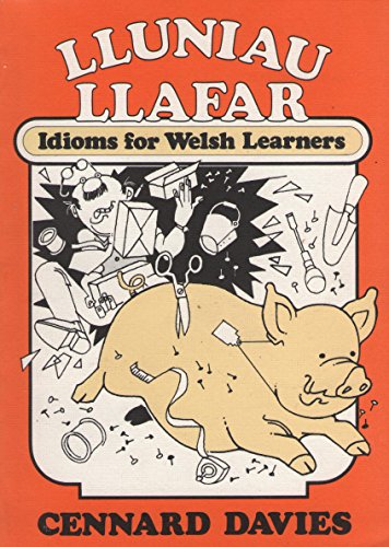 Beispielbild fr Lluniau Llafar: Idioms for Welsh Learners zum Verkauf von WorldofBooks