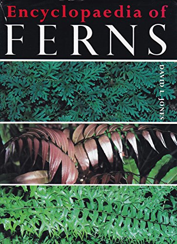9780850911794: Encyclopaedia of Ferns