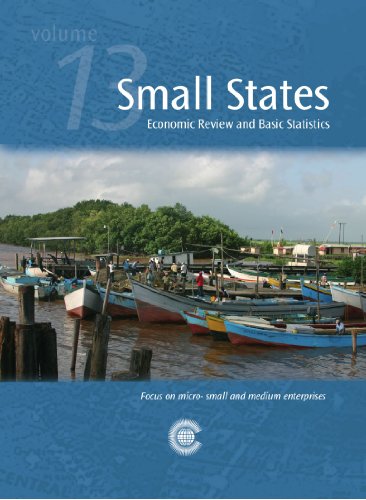 Beispielbild fr Small States: Economic Review and Basic Statistics, Volume 13 zum Verkauf von Ammareal