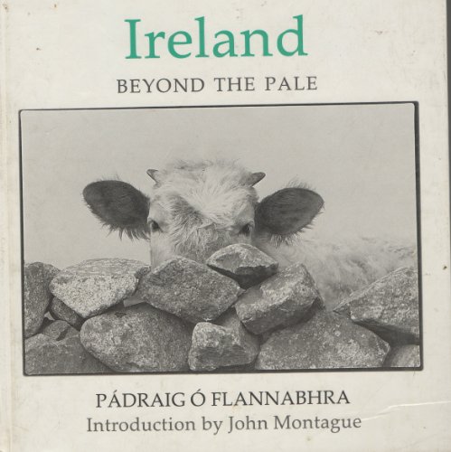Imagen de archivo de Ireland: Beyond the Pale: A Photo-Essay a la venta por WorldofBooks