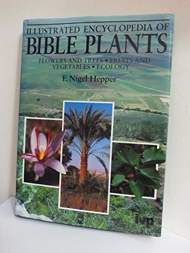 Stock image for Illustrated Encyclopedia of Bible Plants for sale by WorldofBooks