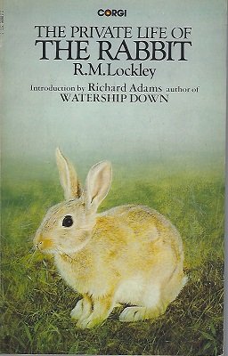 9780851152431: The Private Life of the Rabbit: An Account of the History and Social Behaviour of the Wild Rabbit