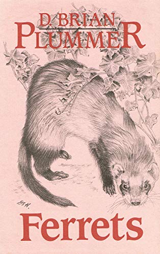 Stock image for Ferrets for sale by WorldofBooks