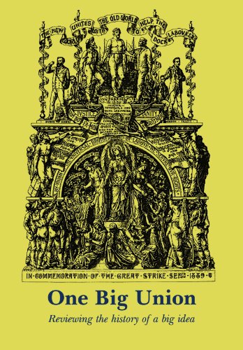 Imagen de archivo de One Big Union: Reviewing the History of a Big Idea (Socialist Renewal) a la venta por Chiron Media