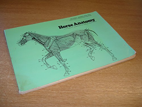 Horse Anatomy: A Pictorial Approach to Equine Structure (9780851312309) by Goody, Peter C.