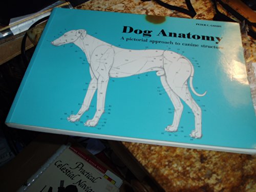 Beispielbild fr Dog Anatomy: A Pictorial Approach to Canine Structure zum Verkauf von BooksRun