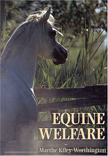 Beispielbild fr Equine Welfare zum Verkauf von WorldofBooks