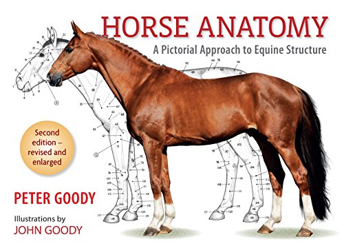 9780851317694: Horse Anatomy: A Pictorial Approach to Equine Structure