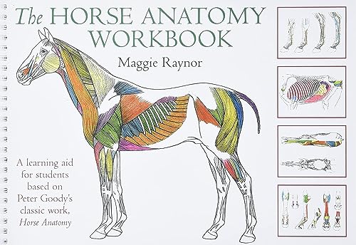Beispielbild fr Horse Anatomy Workbook: A Learning Aid for Students Based on Peter Goody's Classic Work, Horse Anatomy zum Verkauf von PaceSetter Books