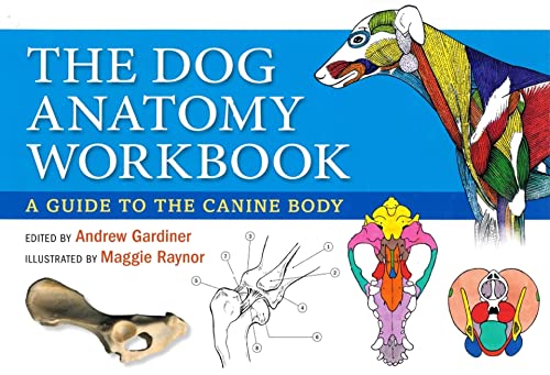 Beispielbild fr The Dog Anatomy Workbook: A Guide to the Canine Body zum Verkauf von Monster Bookshop