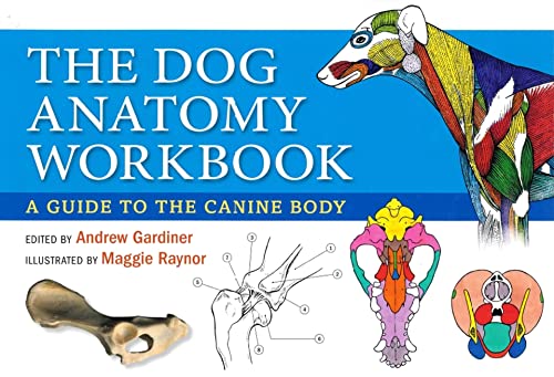 9780851319834: Dog Anatomy Workbook: A Guide to the Canine Body