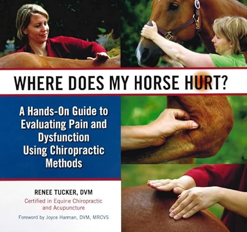 Beispielbild fr Where Does My Horse Hurt?: A Hands-On Guide to Evaluating Pain and Dysfunction Using Chiropratic Methods zum Verkauf von Monster Bookshop