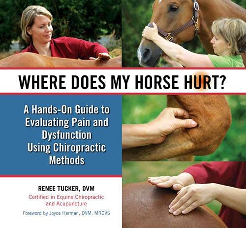 9780851319865: Where Does My Horse Hurt?: A Hands-On Guide to Evaluating Pain and Dysfunction Using Chiropratic Methods