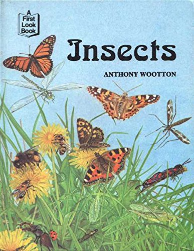 9780851667843: Insects (First Look at)