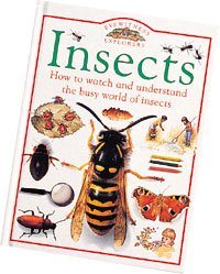Insects (9780851668734) by Michael Chinery