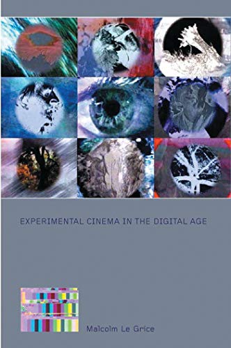 9780851708720: Experimental Cinema in the Digital Age (BFI Film Classics)