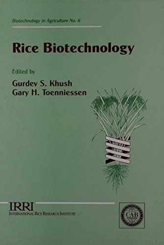 Stock image for Rice Biotechnology for sale by Reader's Corner, Inc.