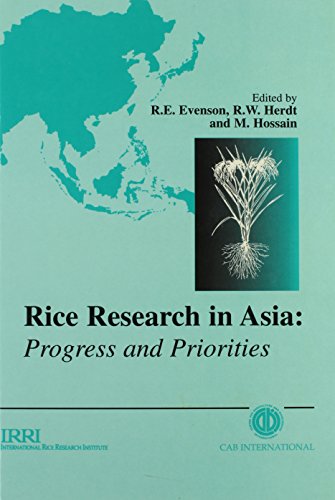 Beispielbild fr Rice Research in Asia: Progress and Priorities. zum Verkauf von Plurabelle Books Ltd