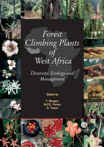 Stock image for Forest Climbing Plants of West Africa for sale by Books Puddle