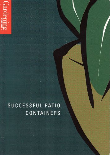 9780852026816: SUCCESSFUL PATIO CONTAINERS