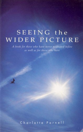 9780852073537: Seeing The Wider Picture