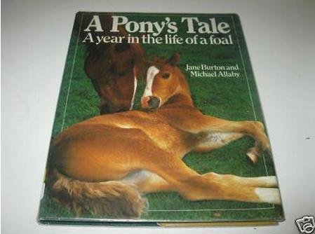 Stock image for A Pony's Tale A year in the life of a foal for sale by AwesomeBooks