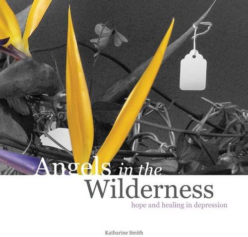 Stock image for Angels in the Wilderness: Hope and Healing in Depression for sale by WorldofBooks
