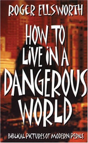 Beispielbild fr How to Live in a Dangerous World zum Verkauf von WorldofBooks