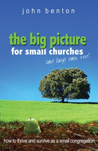 Imagen de archivo de The Big Picture for Small Churches and Large Ones, Too!: How to Thrive and Survive as a Small Congregation a la venta por SecondSale
