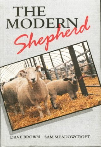 Stock image for The Modern Shepherd for sale by WorldofBooks