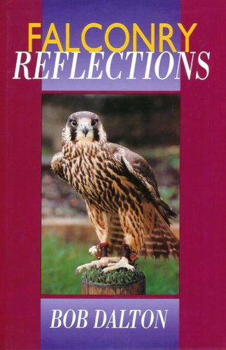 Falconry Reflections