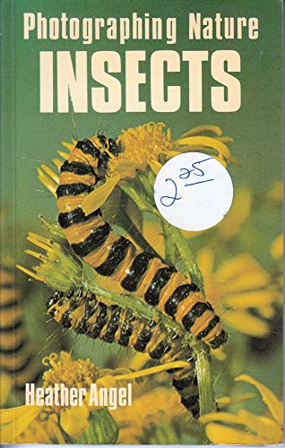 Stock image for Insects for sale by Wonder Book