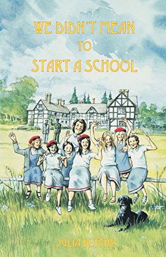 Stock image for We Didn't Mean to Start A School for sale by AwesomeBooks