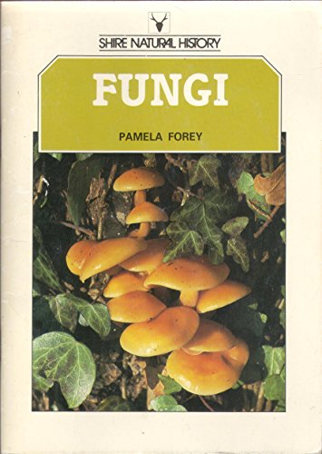 Imagen de archivo de Fungi a la venta por Last Century Books