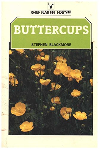 Stock image for Buttercups (Shire natural history) for sale by Goldstone Books