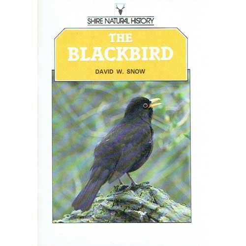 Imagen de archivo de The Blackbird: 13 (Shire natural history) a la venta por WorldofBooks