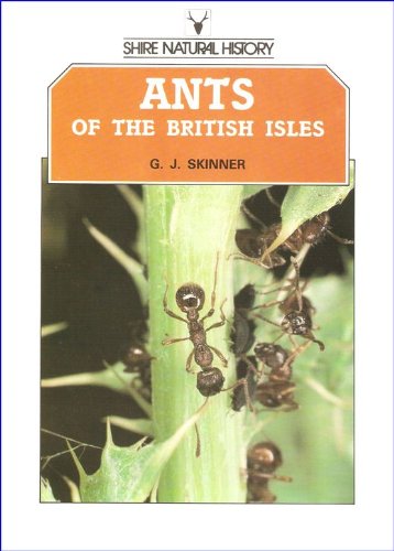 Stock image for Ants of the British Isles: 21 (Shire natural history) for sale by WorldofBooks