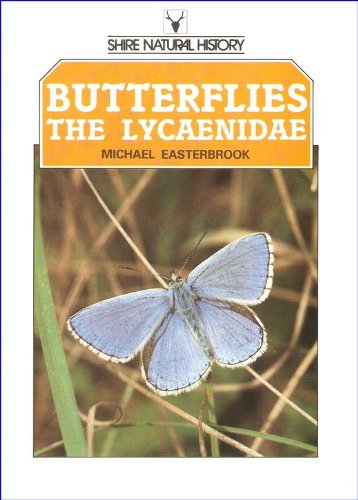 Stock image for Butterflies of the British Isles: Lycaenidae (Shire natural history) for sale by Reuseabook