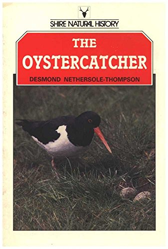 Stock image for The Oystercatcher (Shire natural history) for sale by WorldofBooks