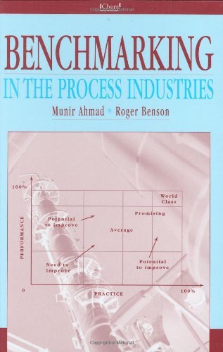 9780852954119: Benchmarking in the Process Industries