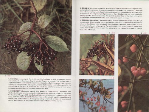 WILD FRUITS AND BERRIES (COTMAN-COLOR S.) (9780853065975) by E.A. Ellis