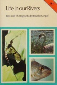 Life in our rivers (Jarrold nature series: Fresh and saltwater life) (9780853067184) by Heather Angel