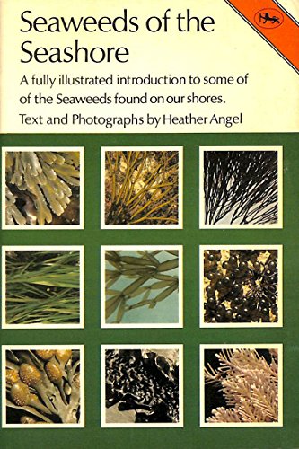 9780853067269: Seaweeds of the Seashore (Cotman-color)