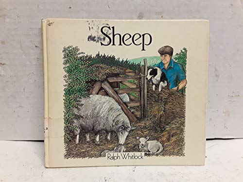 Beispielbild fr Sheep (Farm Animals) zum Verkauf von AwesomeBooks