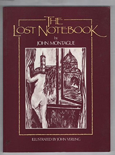 9780853428329: Lost Notebook: Novel