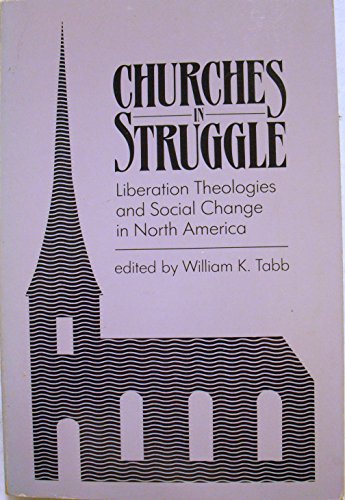 Stock image for Churches in Struggle : Liberation Theologies and Social Change in North America for sale by Better World Books